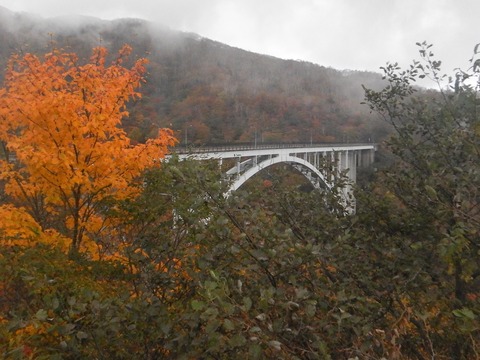 DSCN9887