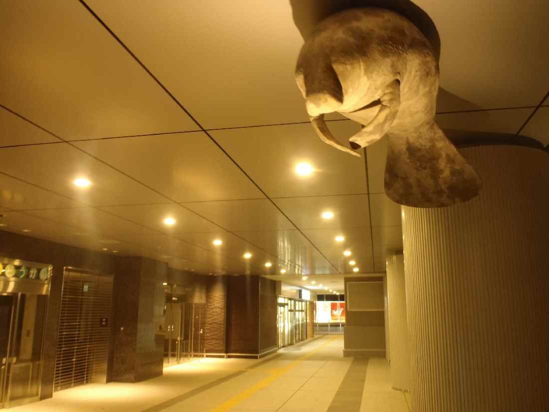 イメージ 8