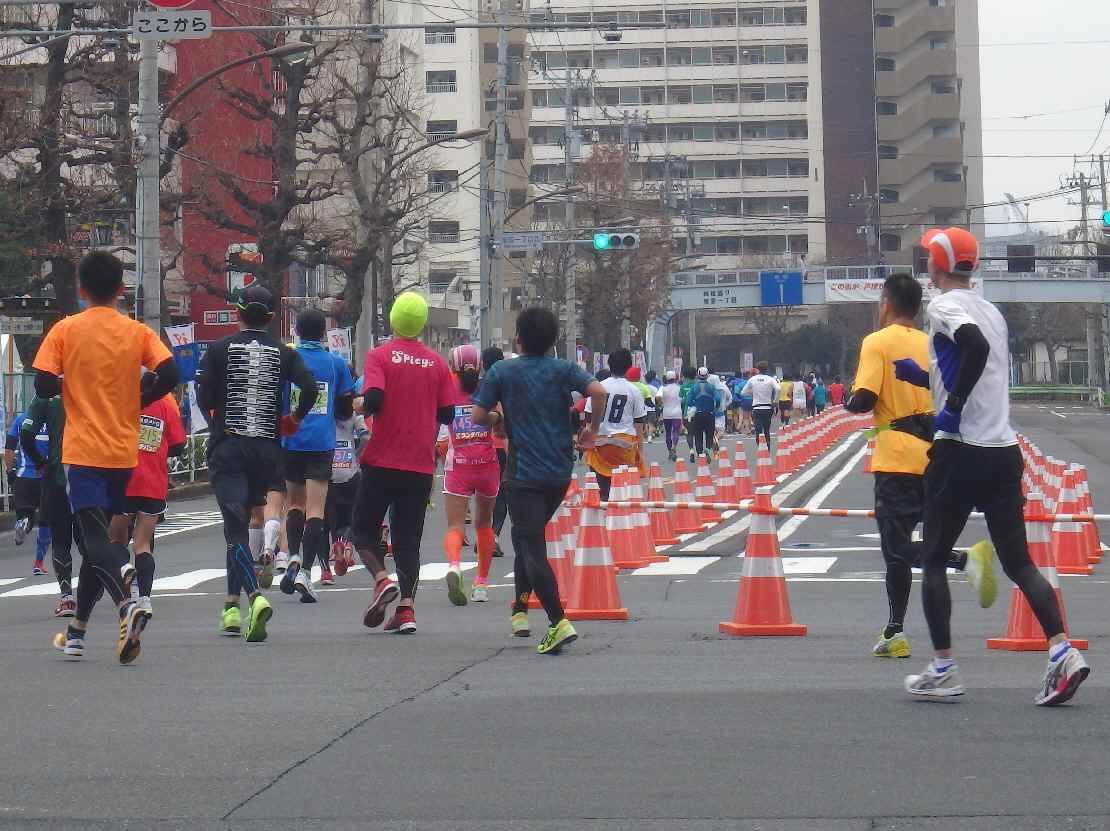 イメージ 9