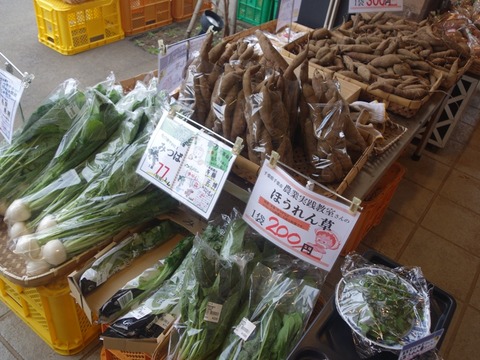 DSC04609