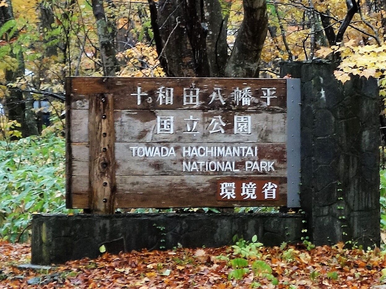 初冬 湯治旅 日本100名道 奥入瀬渓流ライン タワマンブラリ旅のblog