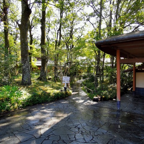 2019-10-09 13.40.12