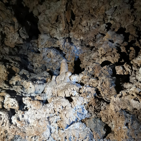 2020-11-07 09.42.04-1