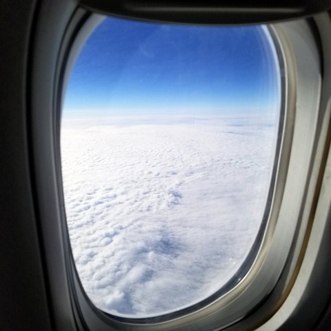 2019-02-03 09.16.38