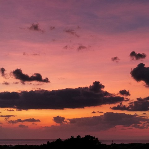 2019-11-10 06.27.24