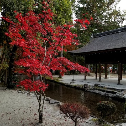 2018-11-25 15.29.26