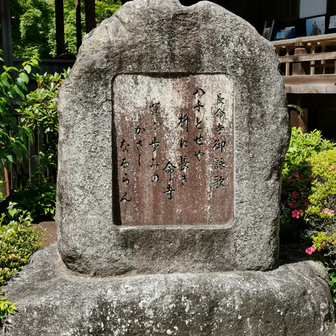 2020-06-17 14.21.00