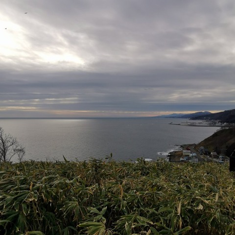 2019-12-01 11.39.08