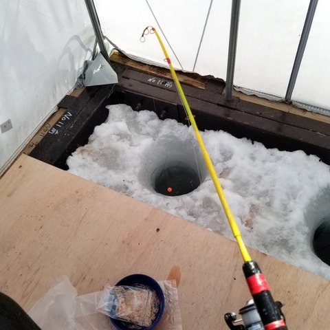 2019-03-19 12.42.51