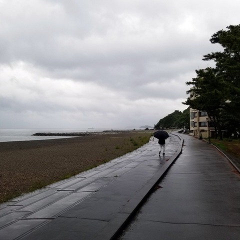 2018-05-13 13.50.53