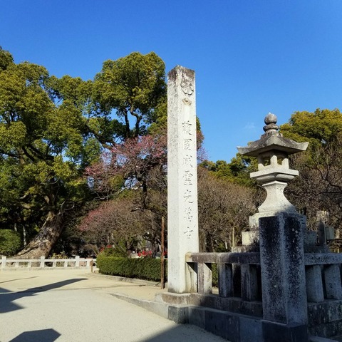 2019-01-23 14.54.42