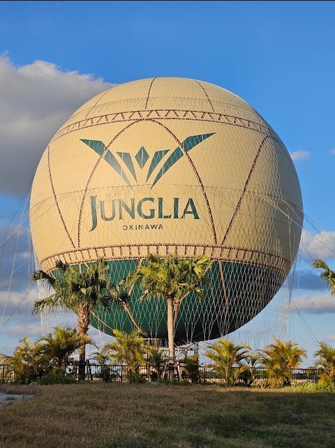 Screenshot_20251209_190405_Gallery