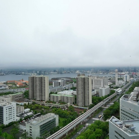 2019-07-01 08.42.31