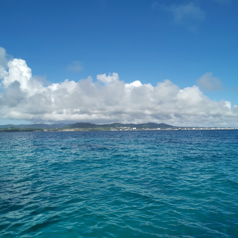 2020-11-07 15.06.16-1