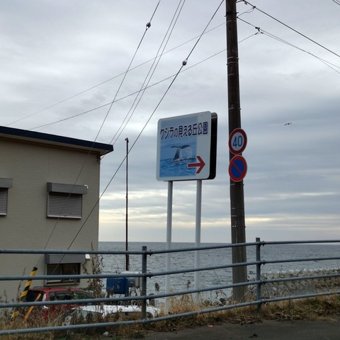 2019-12-01 11.46.10