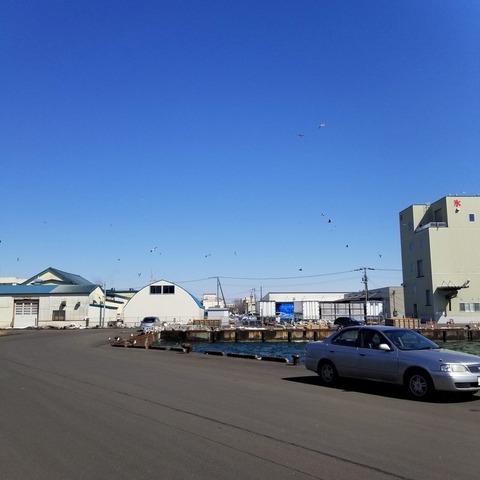 2019-03-18 11.47.17