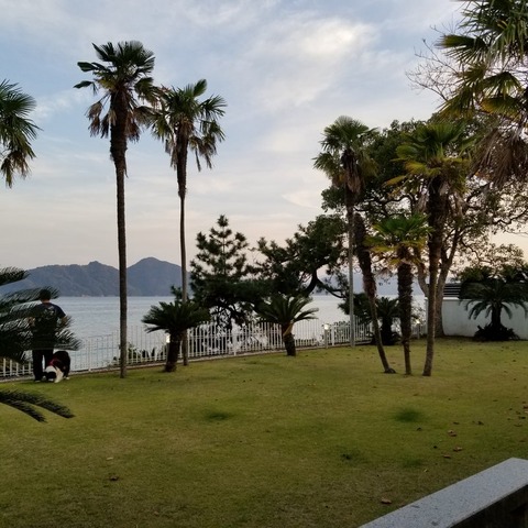 2018-11-11 16.34.53