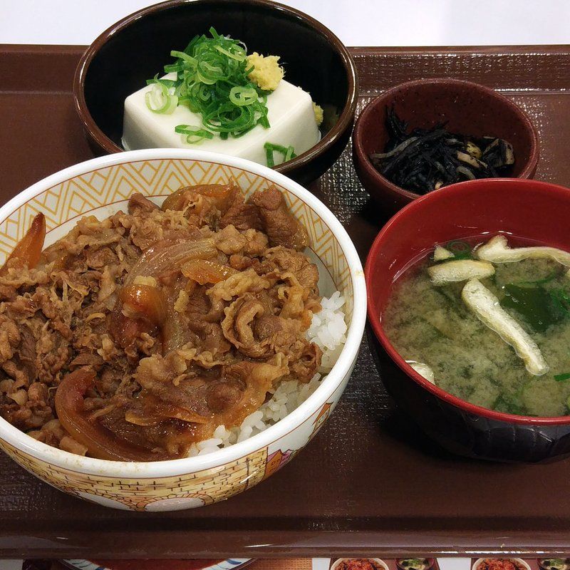 ハラへった すき家で牛丼並盛健康セット500円を試してみた 大阪グルメタクシードライバー ハラへった すき家で牛丼並盛健康セット500円を試してみた 大阪グルメタクシードライバー