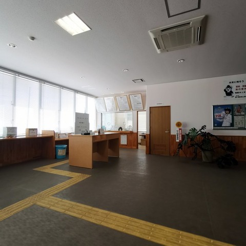 2019-11-13 12.56.29