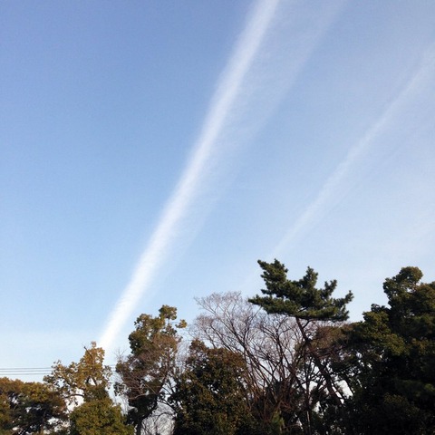 20160204_009