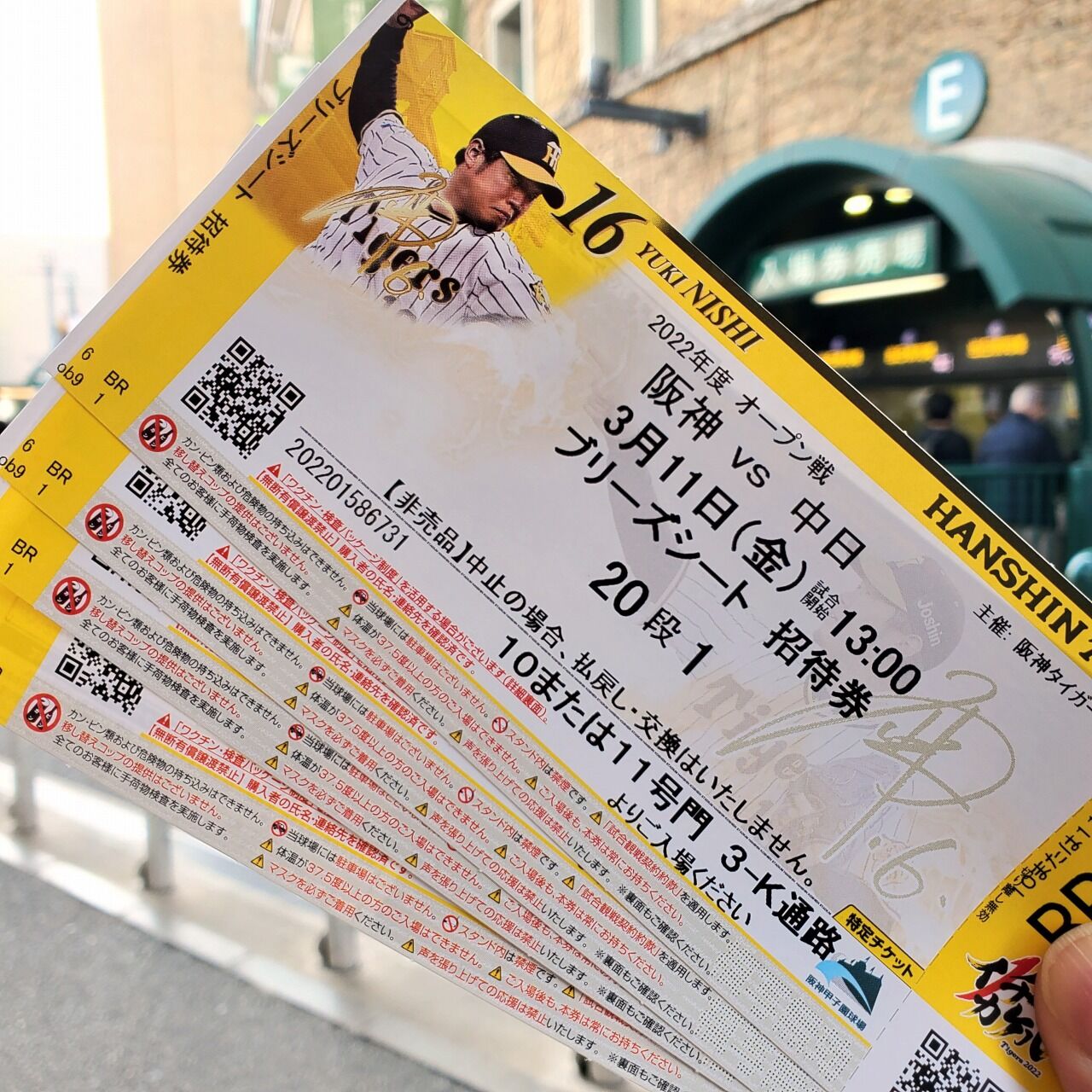 今日はタクドラ仲間を誘って甲子園でプロ野球オープン戦を観戦 今日はタクドラ仲間を誘って甲子園でプロ野球オープン戦を観戦