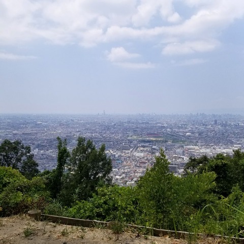 2018-08-05 11.49.08-1-1