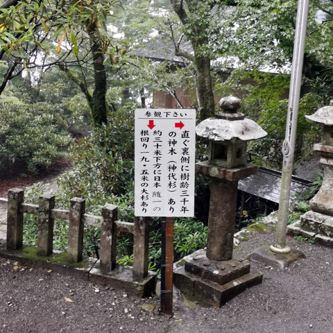 2020-09-17 13.03.45