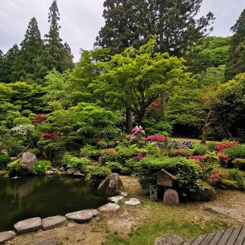 2019-05-14 15.54.37