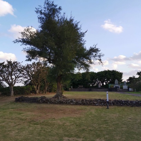 2019-11-12 16.45.36