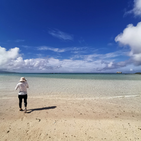 2020-11-07 13.43.10-1