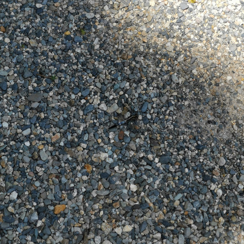 2020-06-17 13.29.28