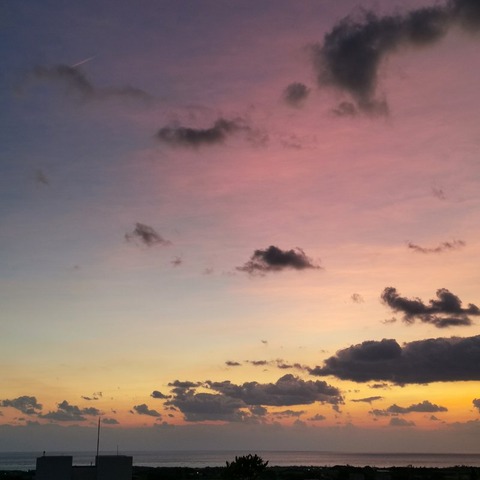 2019-11-10 06.28.41