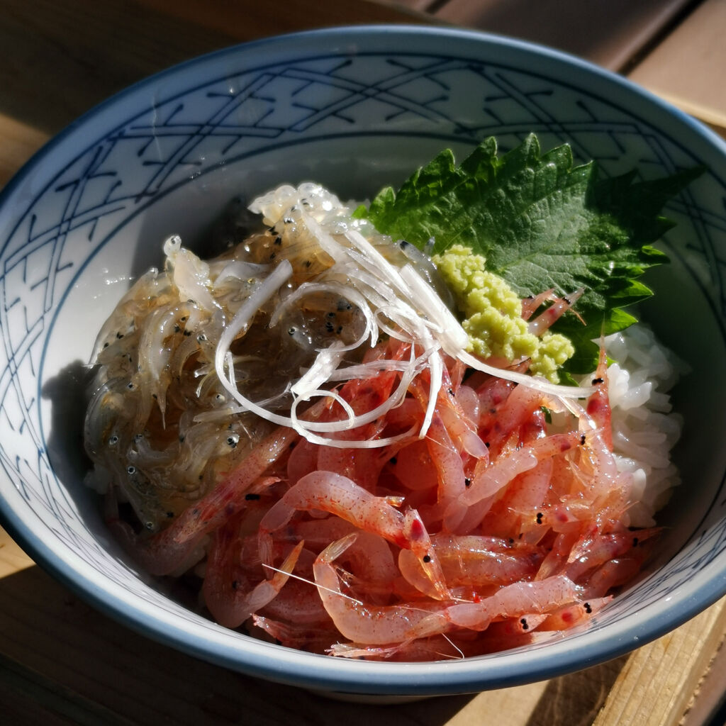 ちょっと小腹が空いたんで 富士川saにある日近商店で生しらす 生桜えびの紅白丼1 700円を食べてみた 大阪グルメタクシードライバー ちょっと小腹が空いたんで 富士川saにある日近商店で生しらす 生桜えびの紅白丼1 700円を食べてみた 大阪グルメタクシードライバー