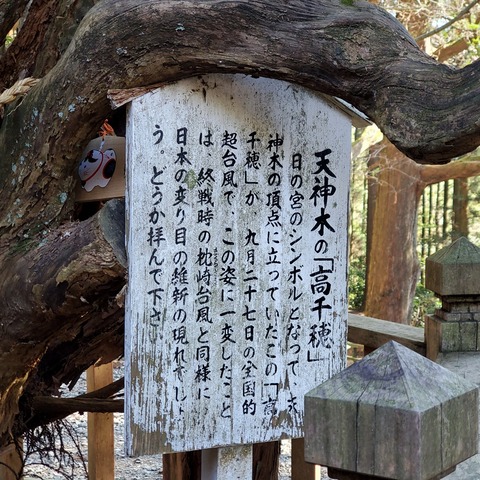2021-12-22 13.11.44
