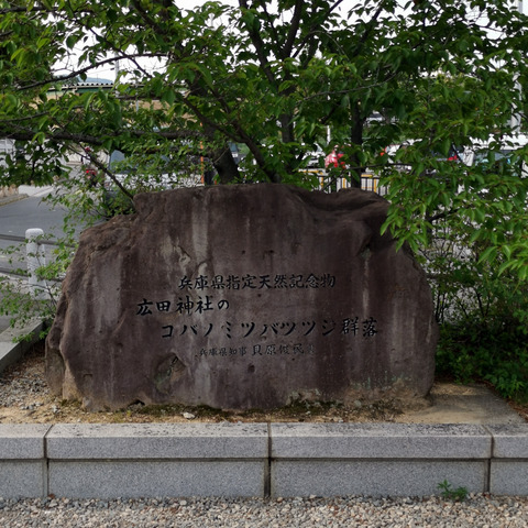 2020-06-09 15.44.56