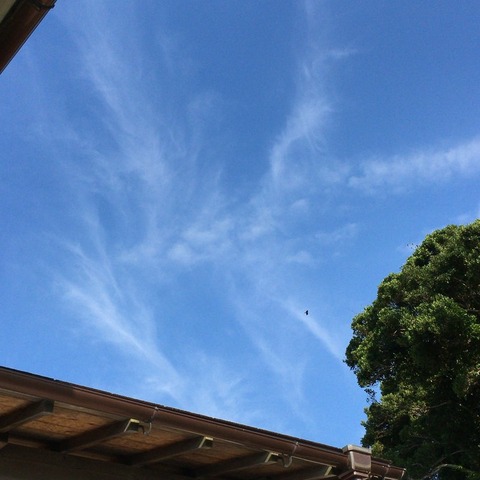 20160902_010