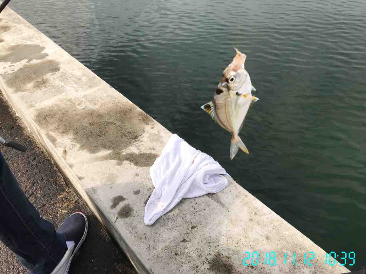 マリントピアも良かったよ 後編 マリントピアリゾート宮津の巻 グルメ 温泉 魚釣り タクシー会社で生き残るには