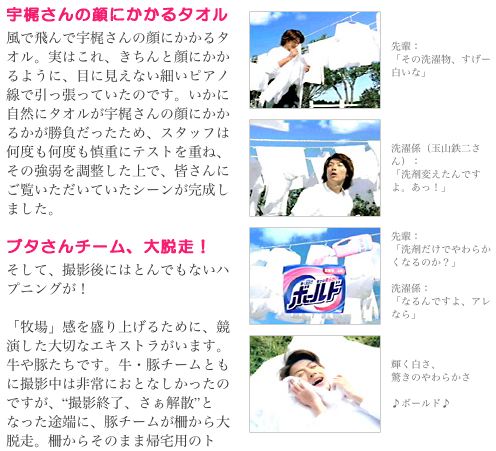 ボールドcm 忙中小春日和 ボールドcm 忙中小春日和