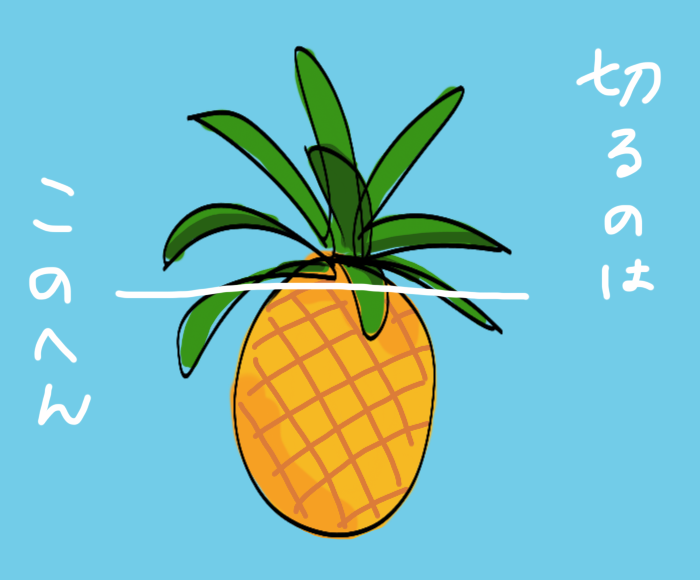 パイナップルを育ててみよう 東京で 実録主義