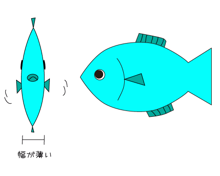 魚えーっセットを買ってみた 魚の詰め合わせセット 実録主義 魚えーっセットを買ってみた 魚の詰め合わせセット 実録主義