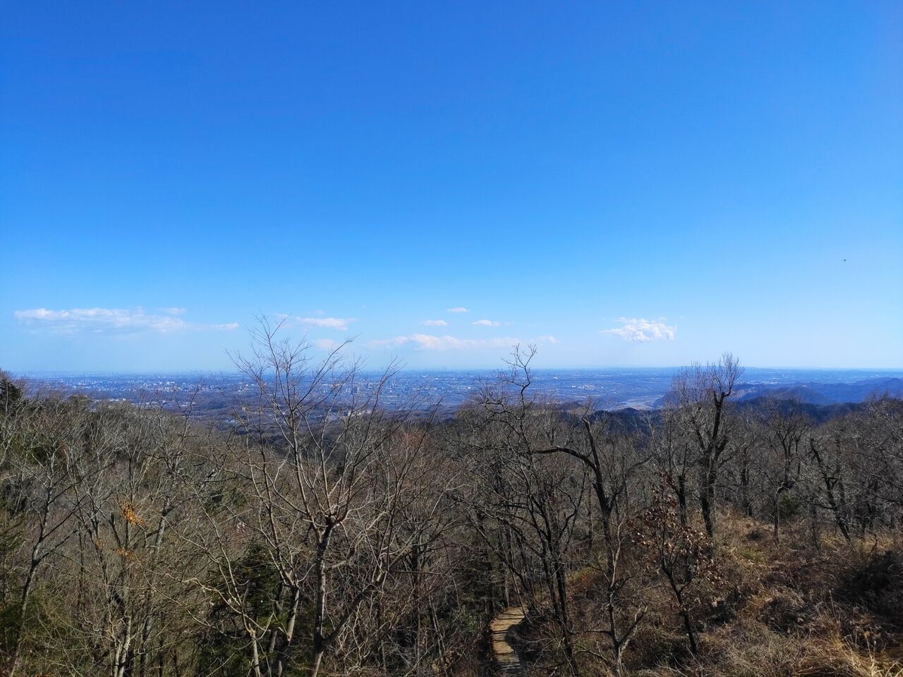 2月の高尾山は花粉地獄 実録主義