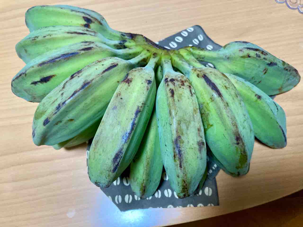 サババナナって、どんなバナナ? : 実録主義!