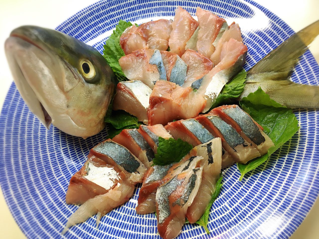 魚を捌く前に 骨の仕組みを知るべし 実録主義 魚を捌く前に 骨の仕組みを知るべし 実録主義