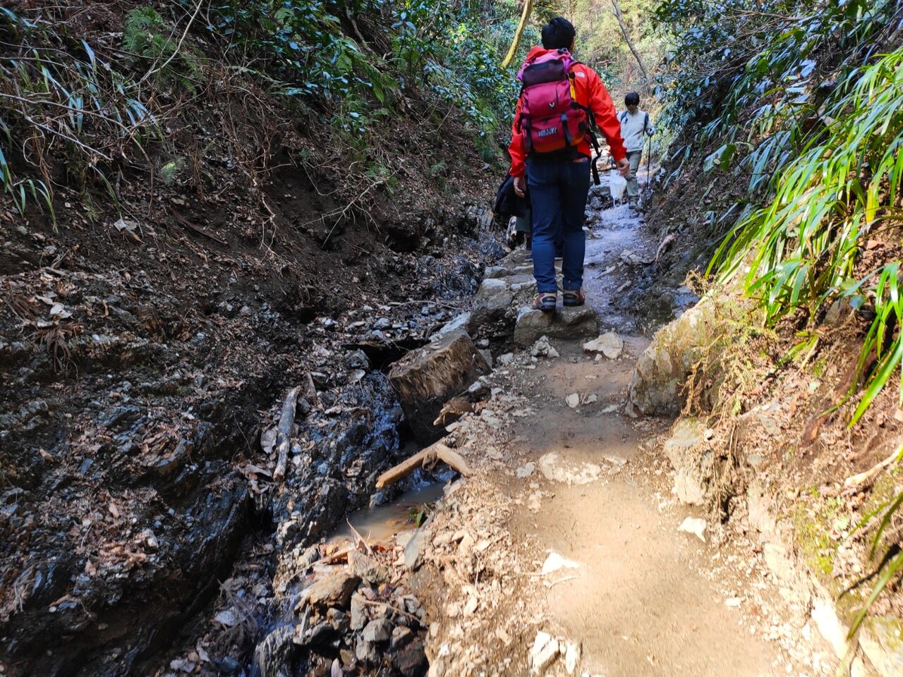 2月の高尾山は花粉地獄 実録主義