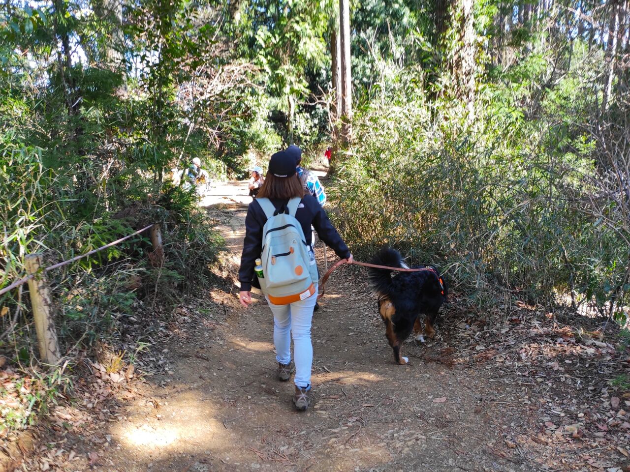 2月の高尾山は花粉地獄 実録主義 2月の高尾山は花粉地獄 実録主義