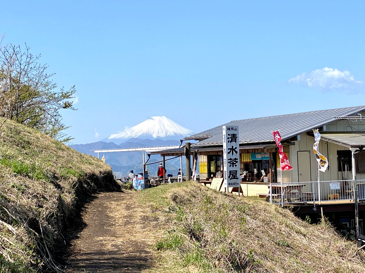 ９か月振りに山へ にんにき日記