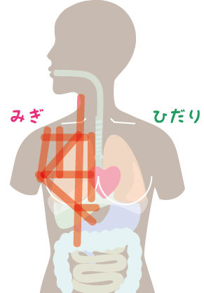 それでもやっぱり胆石でした 痛みの地図