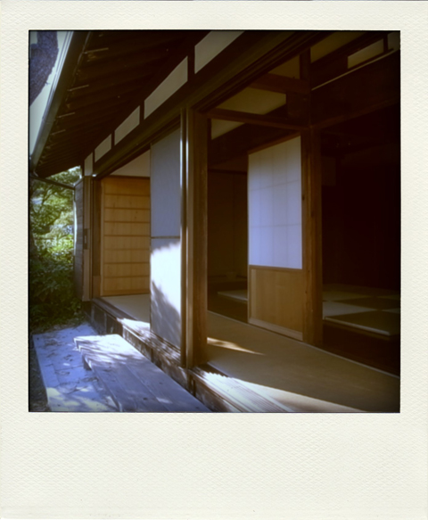 R1113609-pola