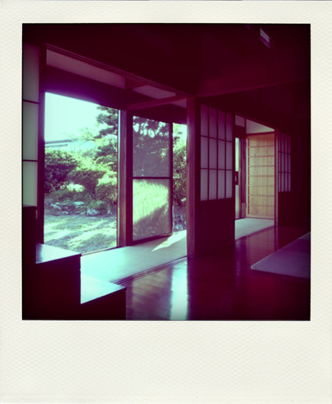 R1113611-pola