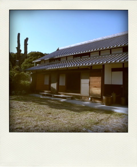 R1113606-pola